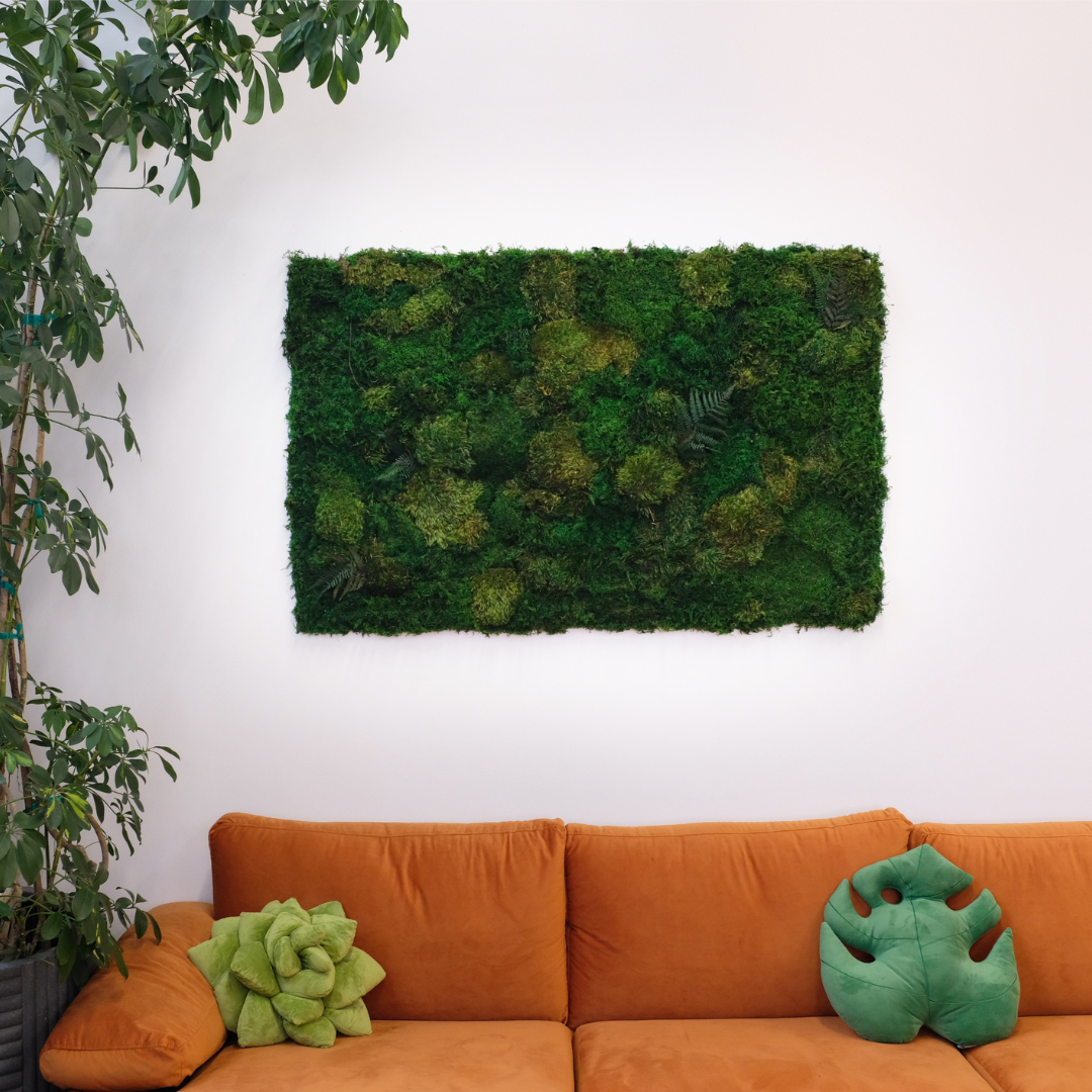 Decorative moss frame : r/Mossariums